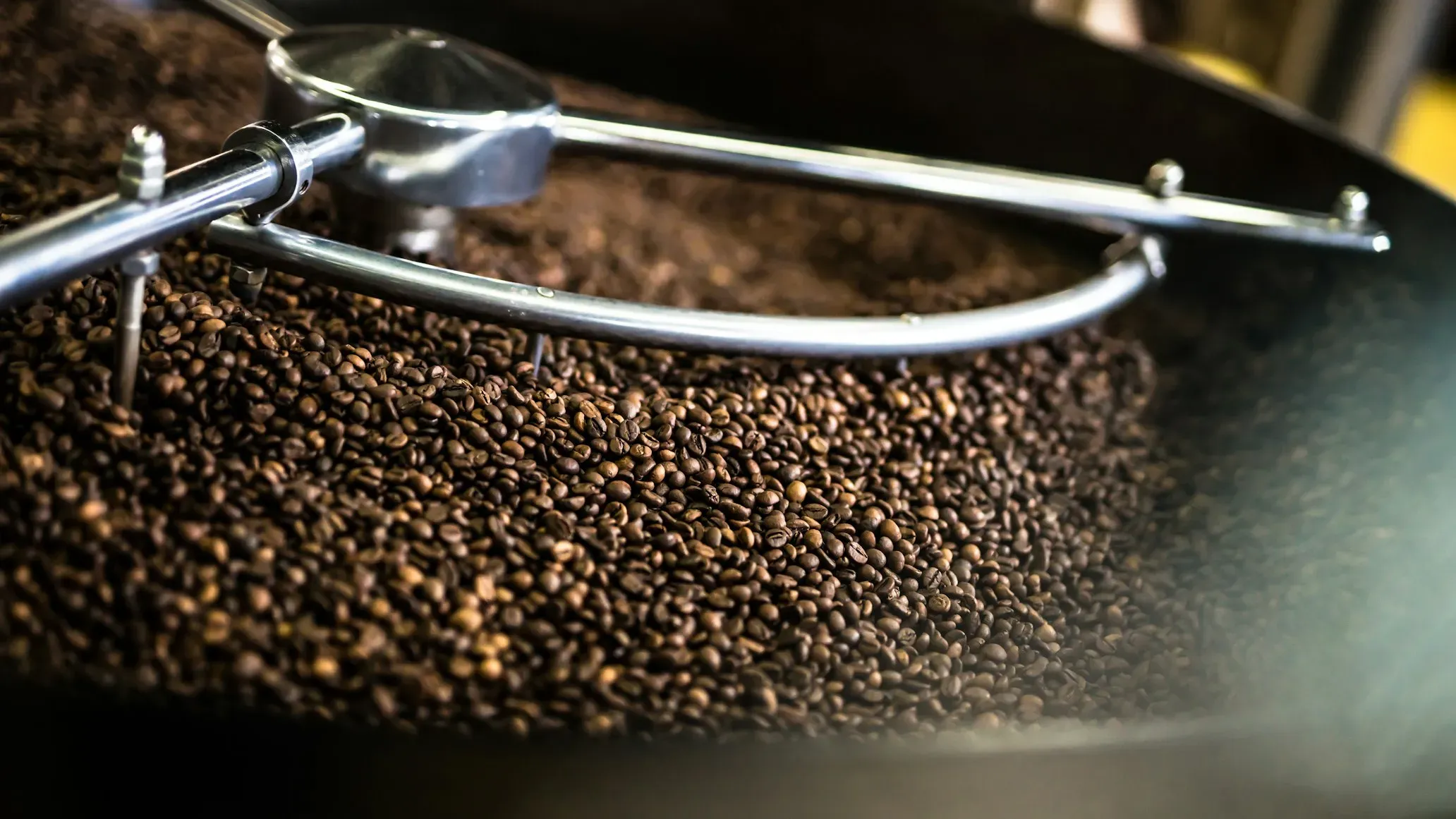 House Roastery